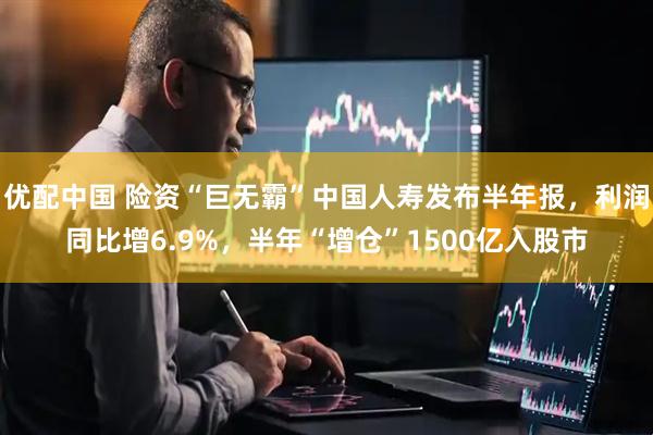 优配中国 险资“巨无霸”中国人寿发布半年报，利润同比增6.9%，半年“增仓”1500亿入股市