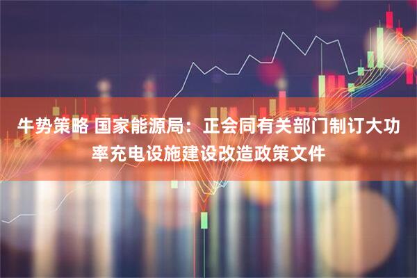 牛势策略 国家能源局：正会同有关部门制订大功率充电设施建设改造政策文件
