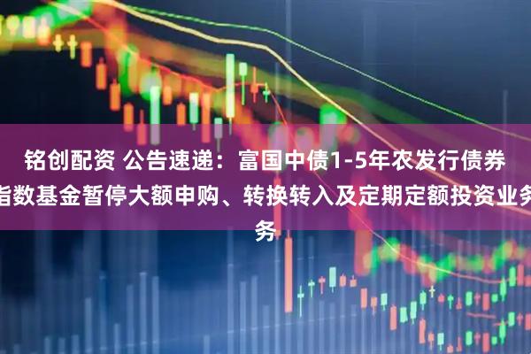 铭创配资 公告速递：富国中债1-5年农发行债券指数基金暂停大额申购、转换转入及定期定额投资业务